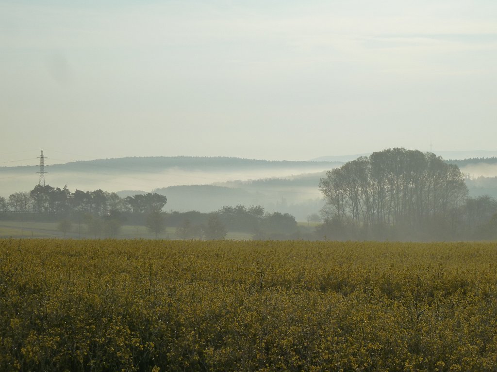 P1120017.JPG - Morning fog
