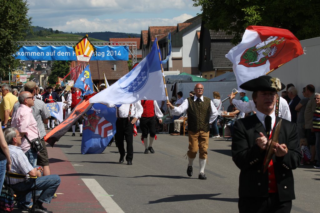 IMG_1450.JPG -  Hessentag  2014 pageant - waveing flags