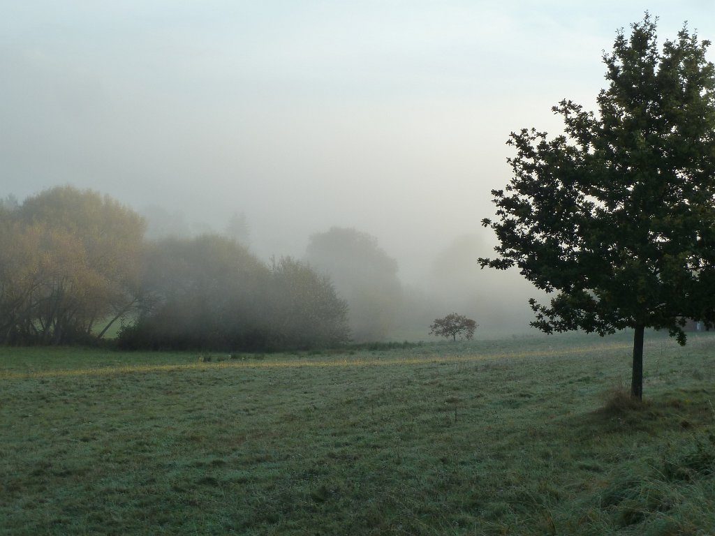 P1130575.JPG - Mist in the Eisenbach valley