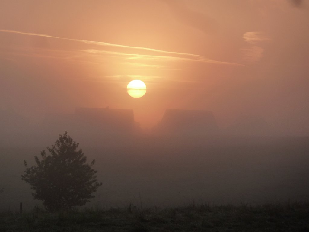 P1130622.JPG - Fog at sunrise