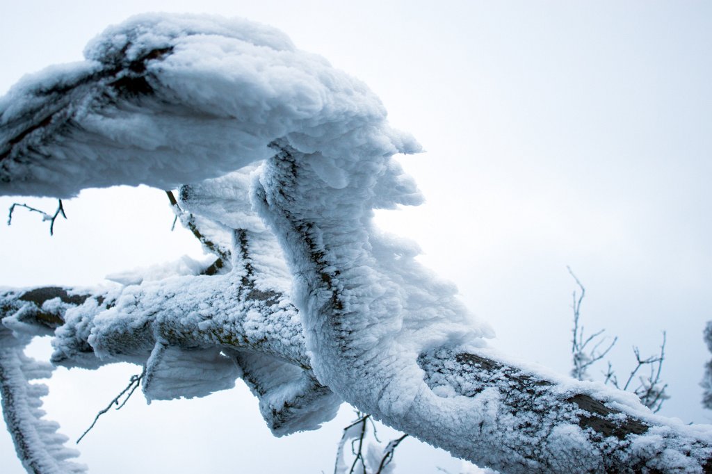 IMG_8056_c.jpg - Winter in the  Taunus  - wind created snow sculpture