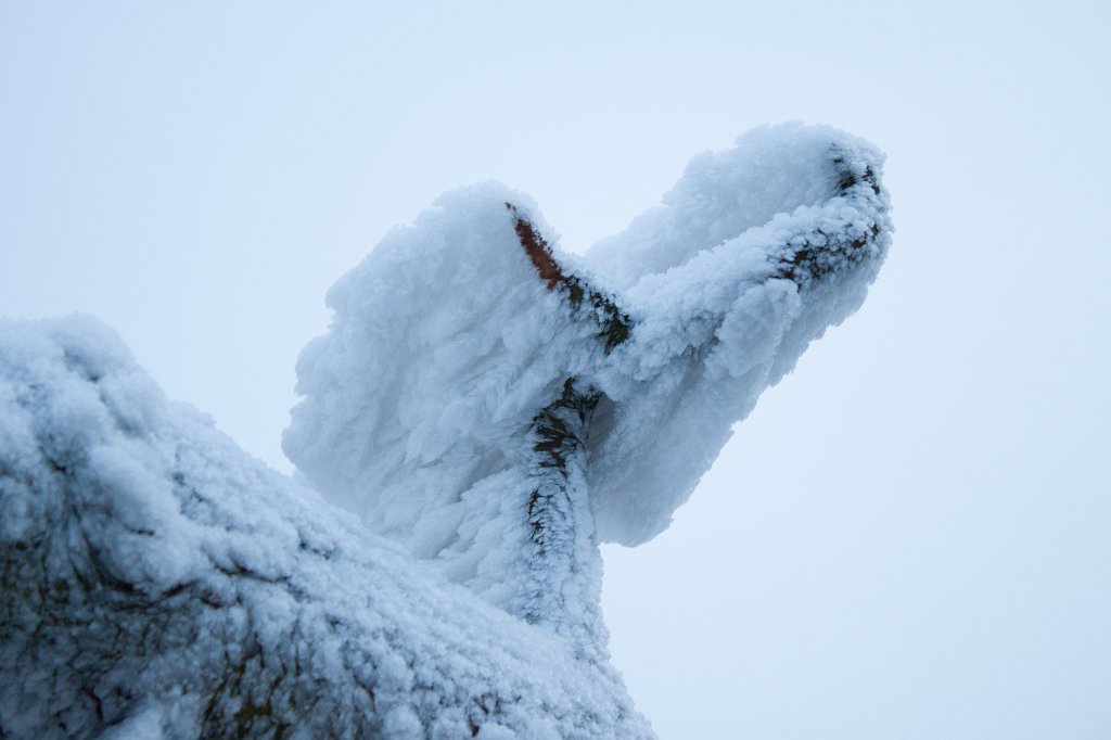 IMG_8057_c.jpg - Winter in the  Taunus  - wind created snow sculpture