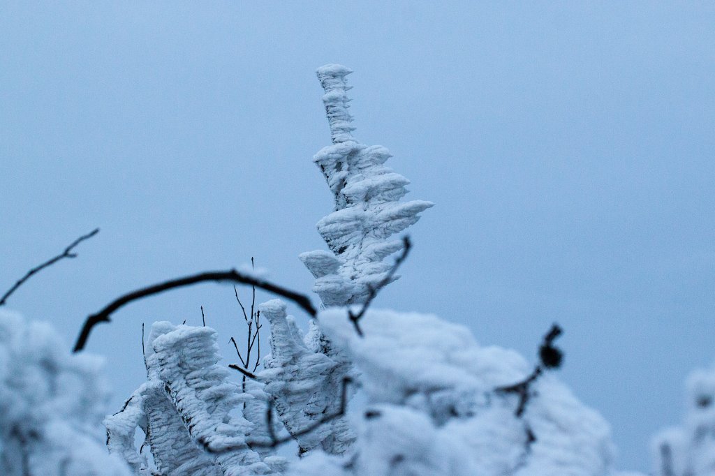 IMG_8078_c.jpg - Winter in the  Taunus  - wind created snow sculpture