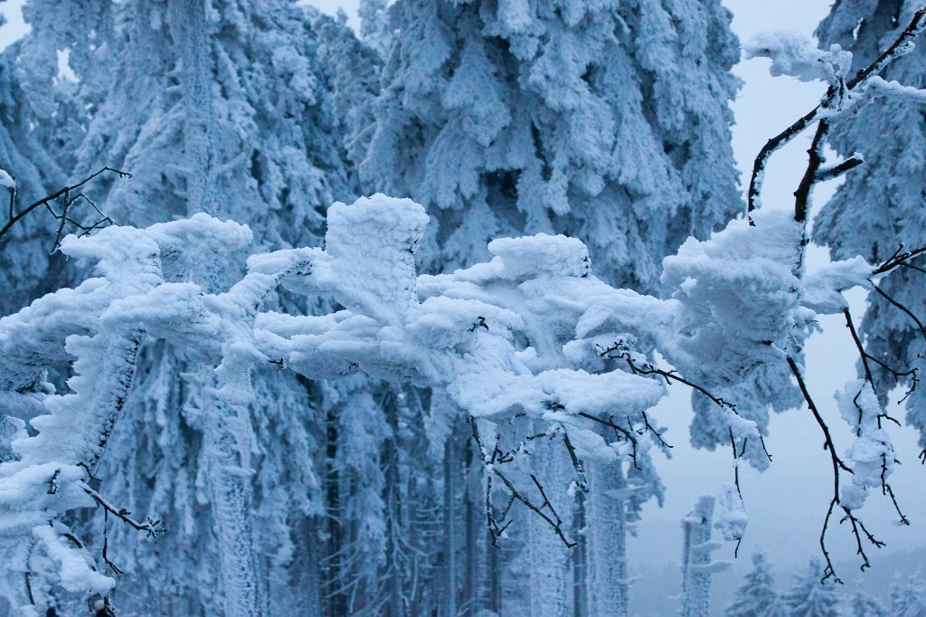 IMG_8092_c.jpg - Winter in the  Taunus  - Icy
