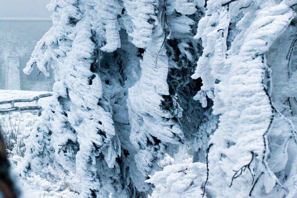 IMG_8100_c.jpg - Winter in the  Taunus  - Icy