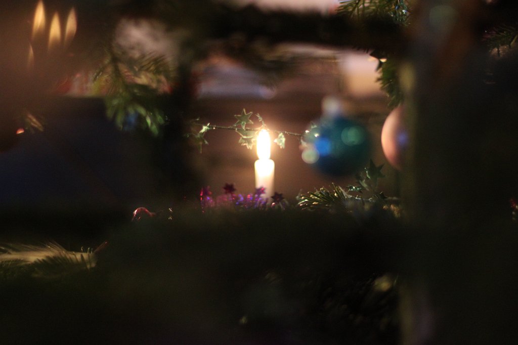 IMG_8350.JPG - Christmas tree candle