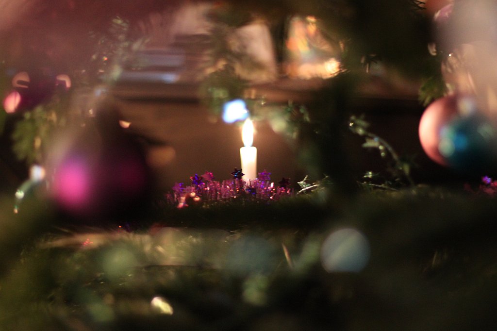 IMG_8351.JPG - Christmas tree candle
