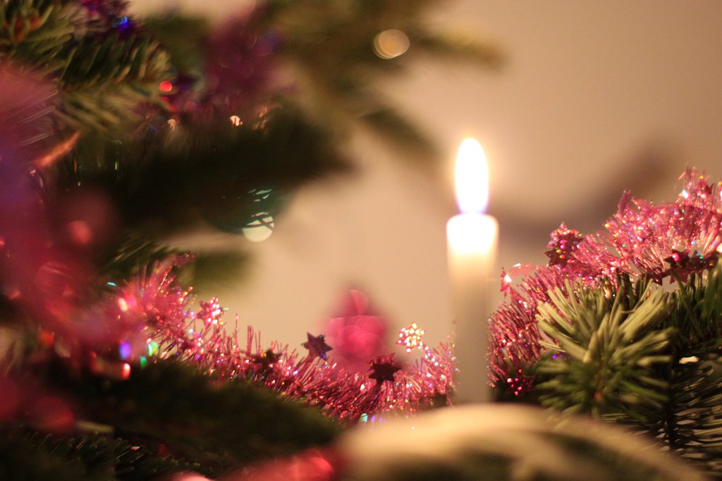 IMG_8357.JPG - Christmas tree candle