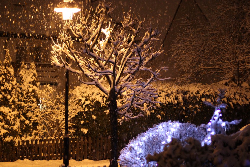 IMG_8387.JPG - Snowing during night