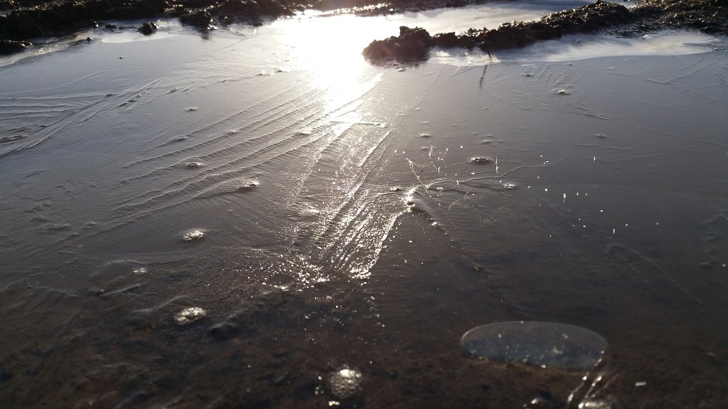 20150225_083720.jpg - Frozen puddle in the morning sun
