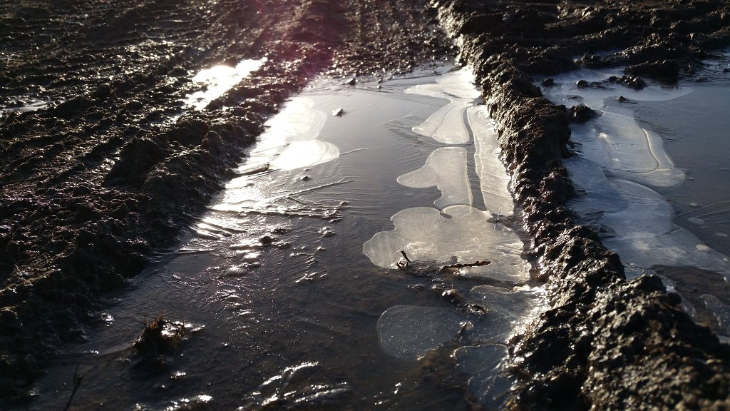 20150225_083756.jpg - Frozen puddle in the morning sun