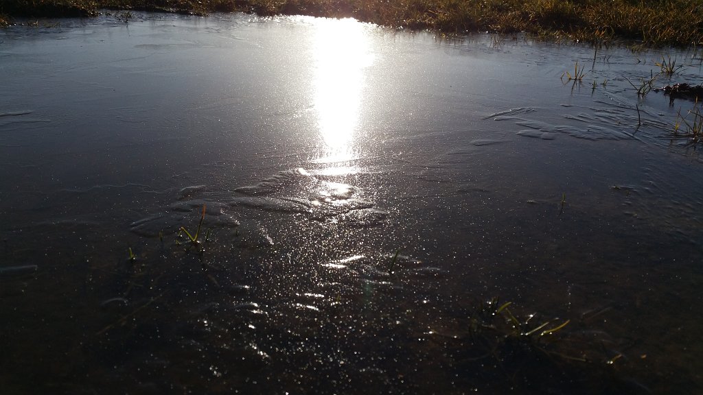 20150303_084709.jpg - Frozen puddle