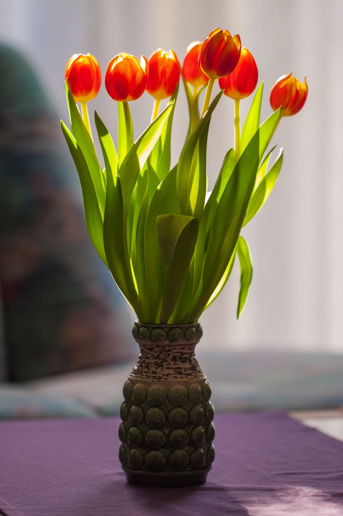 IMG_9021_c.jpg - Tulip bouquet