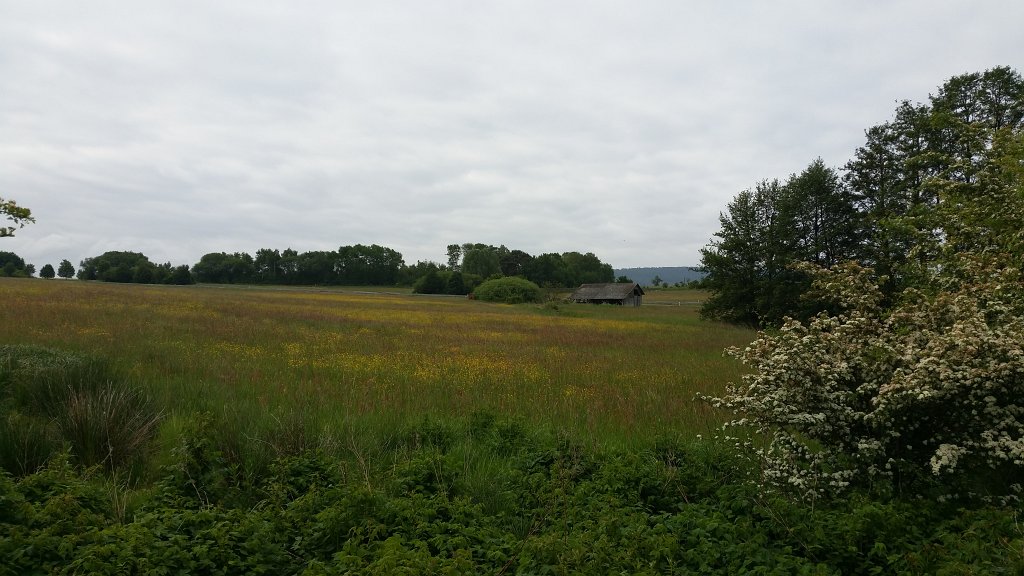 20150527_085054.jpg - Meadow and barn