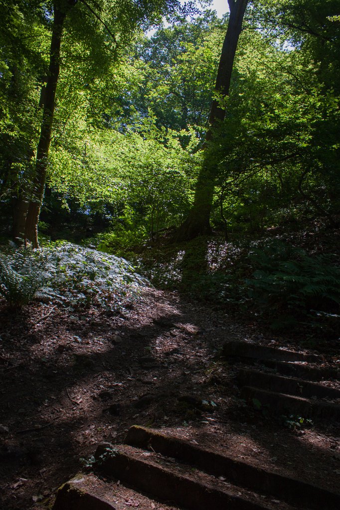 IMG_0938_c.jpg - Path in the woods near  Weilburg 