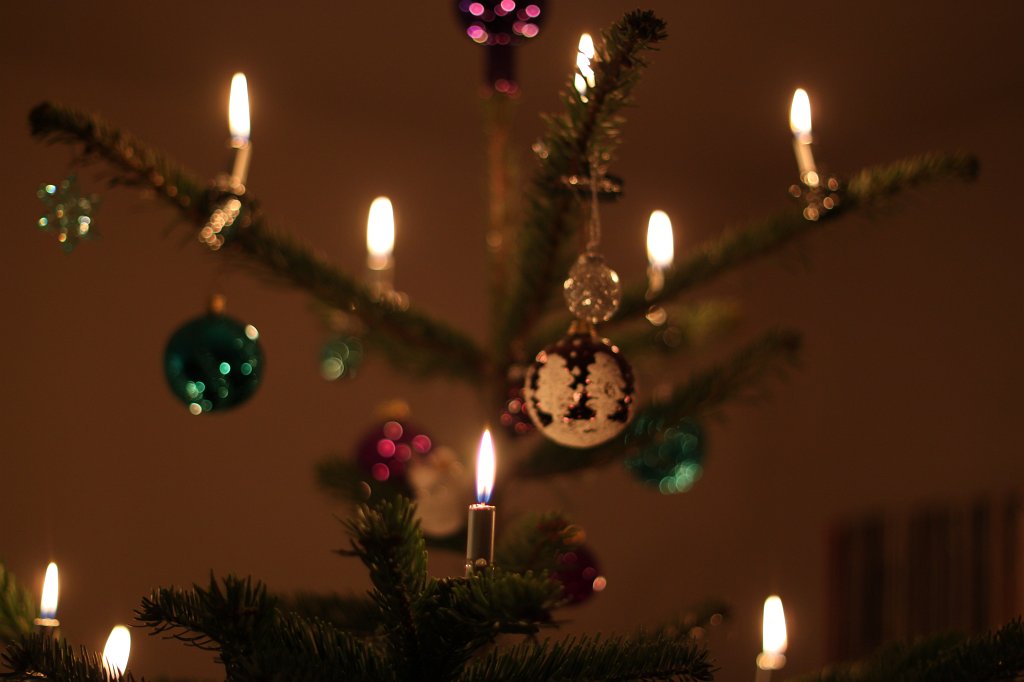 IMG_6184.JPG - Lights on the christmas tree