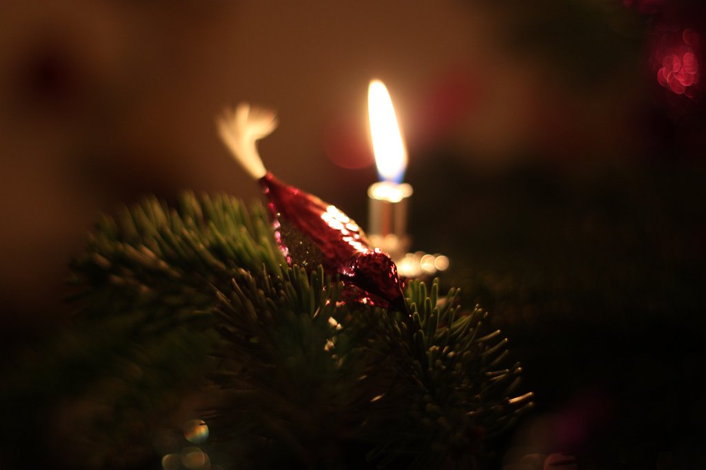 IMG_6186.JPG - Lights on the christmas tree