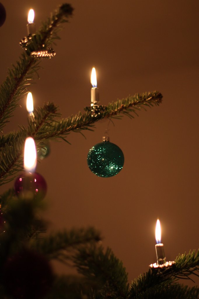 IMG_6188.JPG - Lights on the christmas tree