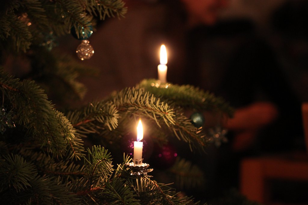 IMG_6211.JPG - Lights on the christmas tree
