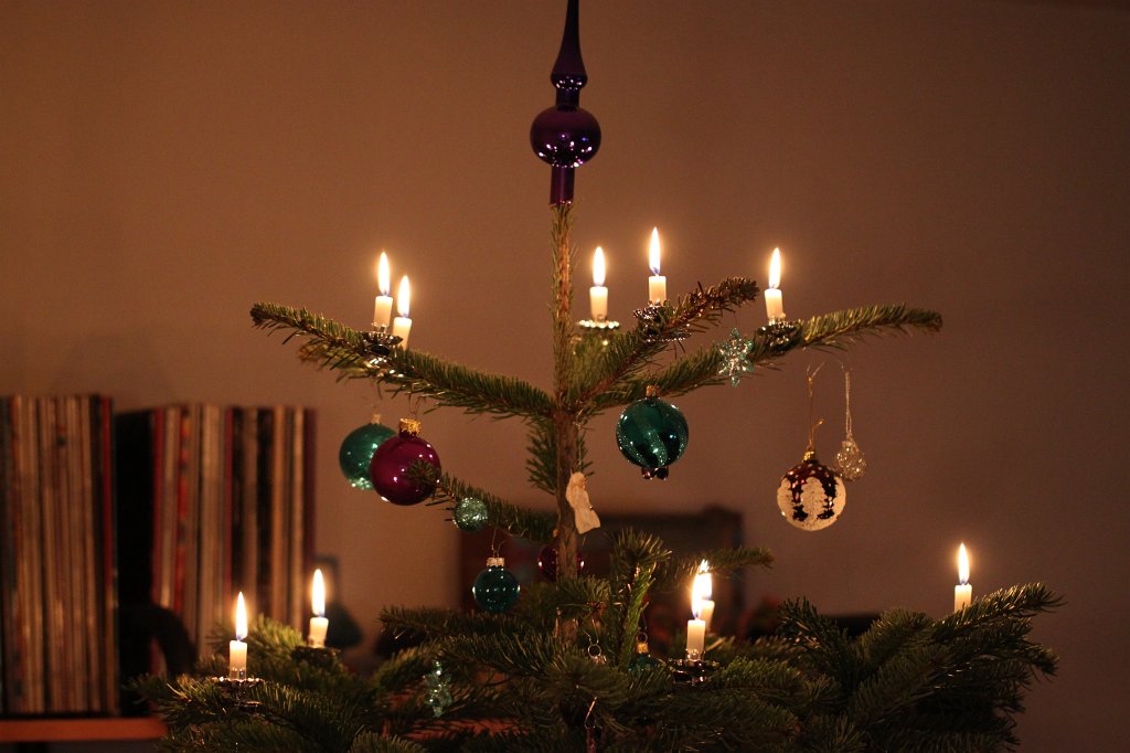 IMG_6221.JPG - Lights on the christmas tree