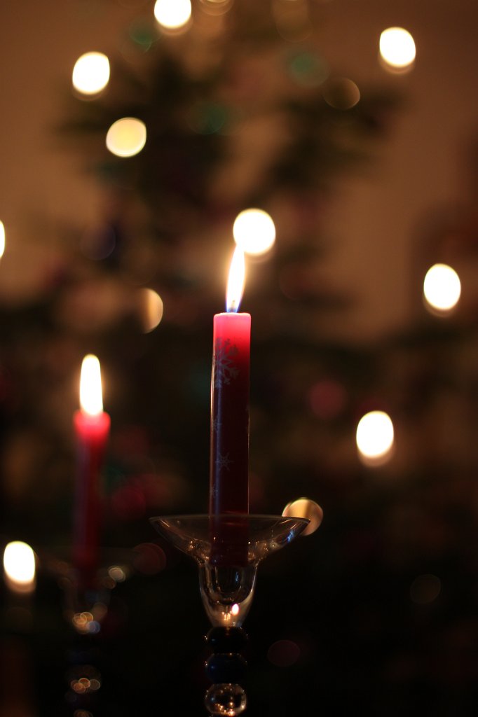 IMG_6285.JPG - Kerzen und Weihnachtsbaum
