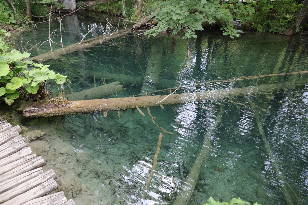 574B2742.jpg -  Plitvice Lakes National Park 